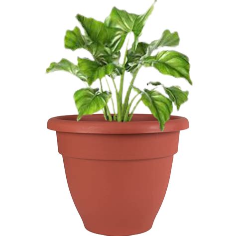 device  urban infotech   plastic planters big size flower pot