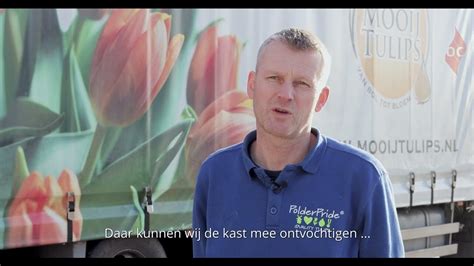 dry climate mooij tulips limmen orange climate youtube