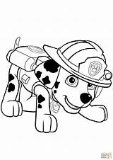 Tracker Paw Patrol Coloring Pages Getdrawings sketch template