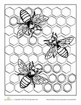 Bee Honeycomb Bees Insect Hive Adults Abeja sketch template