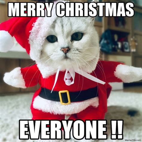 cat merry christmas meme captions profile