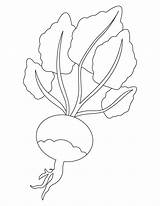 Turnip Coloring Pages Enormous Colouring Sheets Giant Kids Activities Printable Flag Botany Classroom Clipart Red Preschool Story Exploring Colorir Pre sketch template