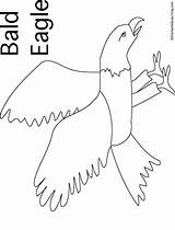 Eagle Bald Enchantedlearning Simple Printouts Enchanted Learning Subscribers Estimate 2nd 1st Grade Level sketch template