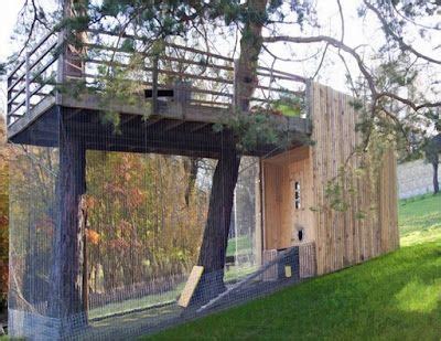 shipping container tree house  design treehouse