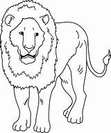 Lion Clipart Coloring Clip Drawing Outline Cliparts Lions Line Transparent Face Library Clipground Roar Sweetclipart Wikiclipart Collection Asiatic Drawings Big sketch template