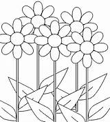 Coloring Pages Flower Daisy Flowers Daisies Choose Board Cute Ros sketch template