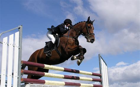 show jumping 1080p windows 2562x1708 coolwallpapers me
