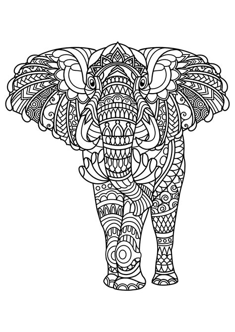 book elephant elephants adult coloring pages