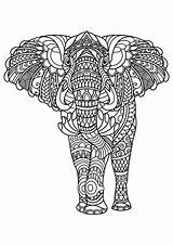 Erwachsene Elefanten Malbuch Elephants Printable sketch template