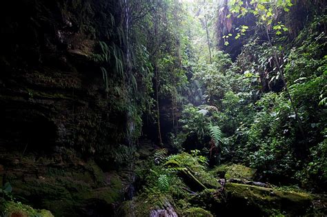 huasquila amazon lodge auslandsschuldienst