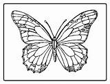 Coloring Butterfly Pages Kids Printable Para Butterflies Template Outline Colorear Color Dibujos Sheets Cool Mariposas Drawing March Sheet Mariposa Print sketch template