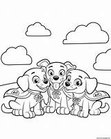 Coloring Patrol Paw Pages Team Companions Independence Canine Printable sketch template