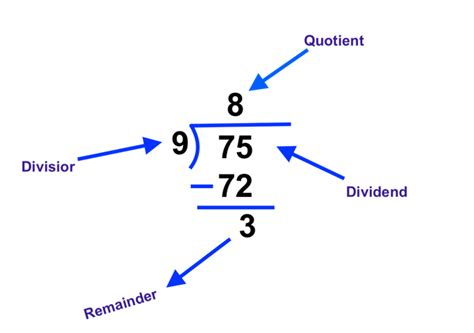 division     quotient worksheet