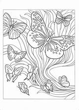 Coloring Dover Spark Butterflies Book sketch template
