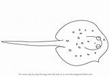 Fish Ray Draw Drawing Step Fishes Tutorials sketch template