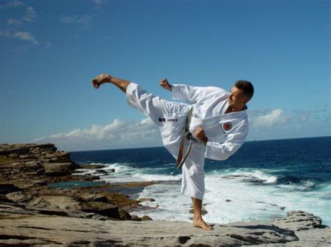 shotokan karate  jesse  blog  jesse enkamp karate nerd