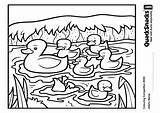 Basic Quack Talents Ages sketch template