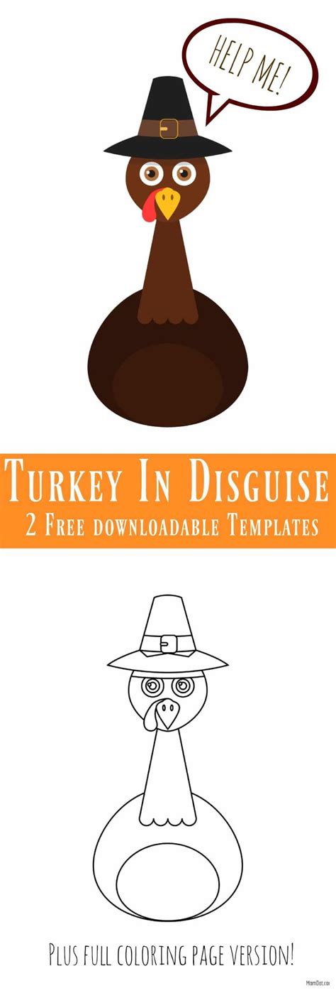 turkey   pilgrim hat   text turkey  disguise
