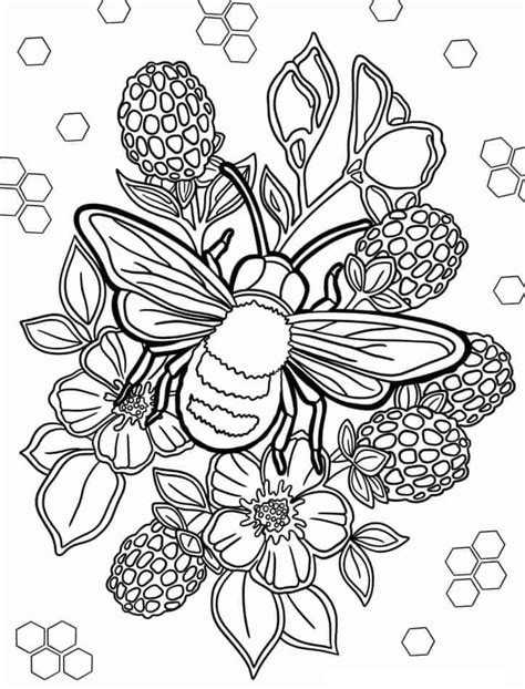 mandala  bees coloring page  print