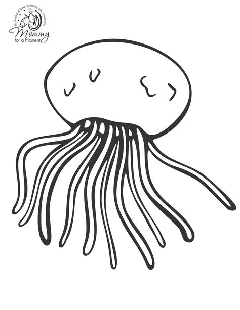 coloring page jellyfish  animals printable coloring pages