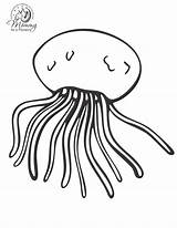 Jellyfish Printablefreecoloring Coloringtop Poisonous Coloringbay sketch template