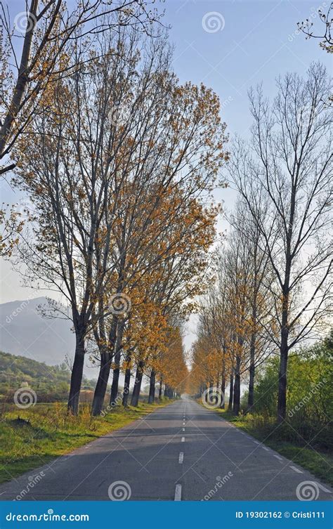 straight road stock photo image  horizontal clouds