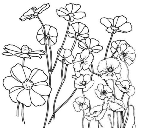 printable poppy coloring pages  coloringfoldercom poppy
