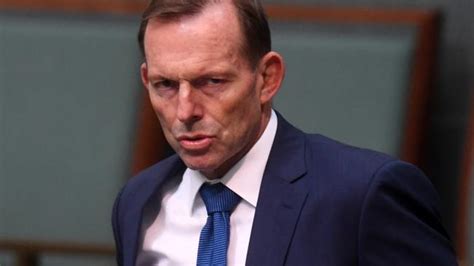 tony abbott wants gay marriage war ex pm in ‘attack attack attack