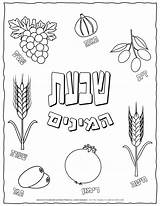 Hebrew Shavuot Planerium sketch template