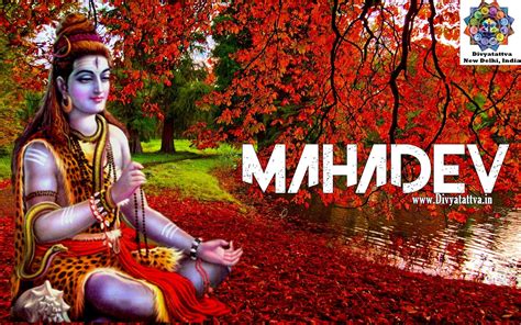 lord shiva hd wallpapers   lord shiva images