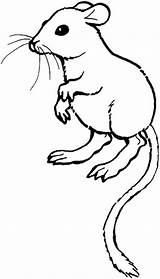 Tailed Mouse sketch template