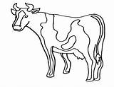 Mucca Disegno Mucche Formaggio Mozzarella sketch template