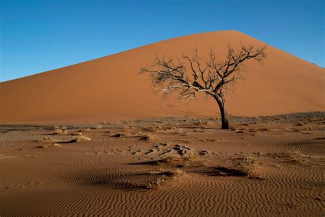 image gallery namibia