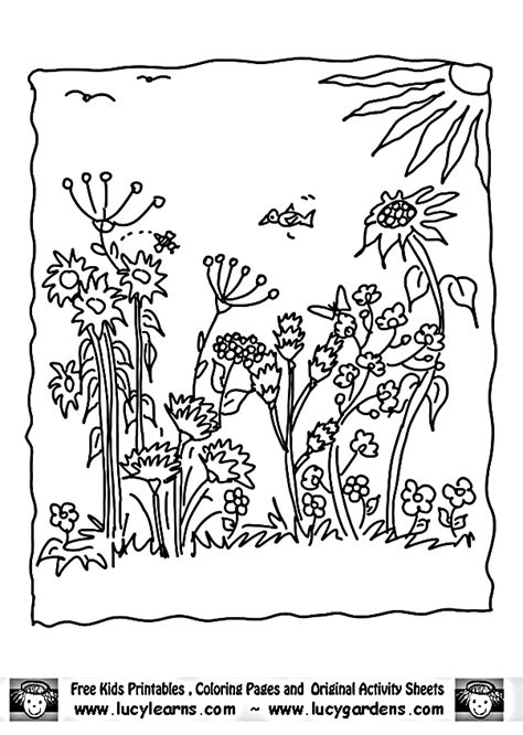 garden coloring pages  kids coloring home