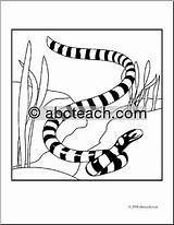 Snake Coral Drawing Coloring Pages Getdrawings sketch template