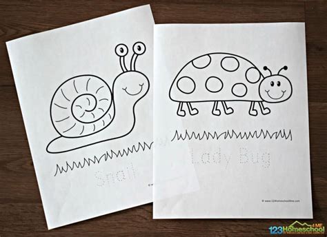 bug coloring pages bug coloring pages bugs preschool insect