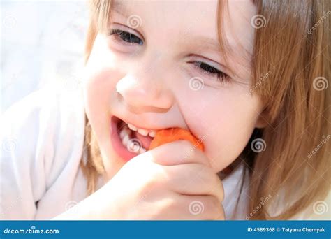 funny eating carrot royalty  stock  image