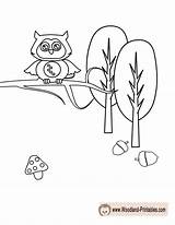 Coloring Woodland Pages Owl Animal Printable Animals Cute Getcolorings Printables Color sketch template