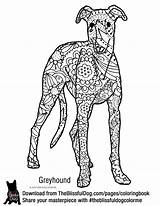Greyhound Woezel Pip sketch template