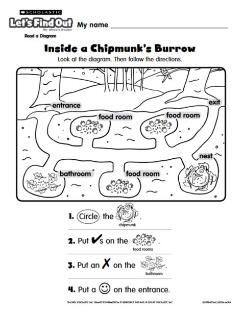 chipmunk burrow diagram