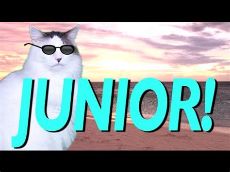 happy birthday junior epic cat happy birthday song youtube