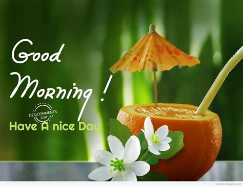 Have A Nice Day Good Morning