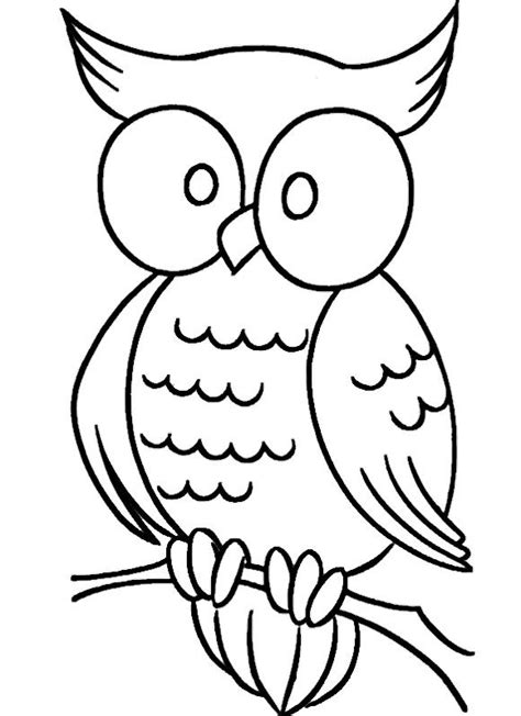 images  owl coloring pages  pinterest coloring pages