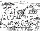 Coloring Animals Pages Grassland Animal Habitat African Savanna South Africa Colouring Color Printable Luxury Safari Getdrawings Getcolorings Print Arctic Prints sketch template
