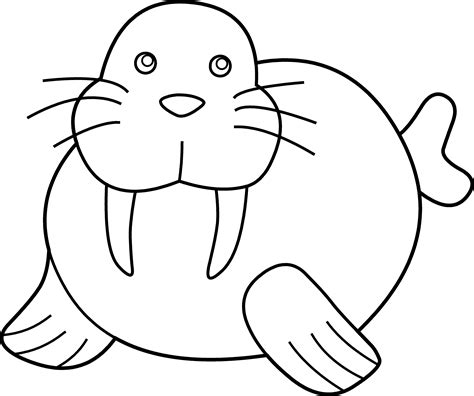 cute walrus coloring page  clip art
