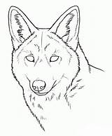 Coyote Draw Coyotes Prairie Dragoart Tekeningen Makangeni Lobo sketch template