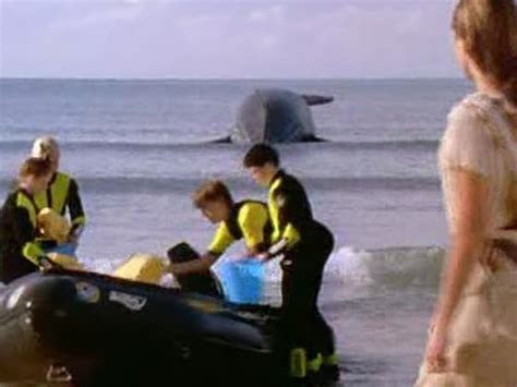 [full tv] ocean girl season 3 episode 17 charlie is stranded 1996