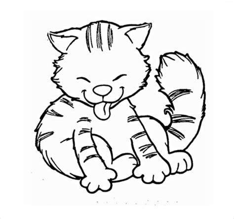 animal coloring pages cat coloring page coloring pages  kids