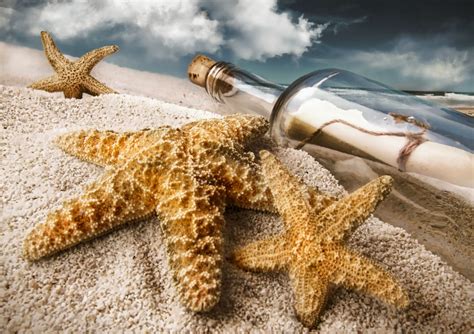 starfish wallpapers hd beautiful wallpapers collection