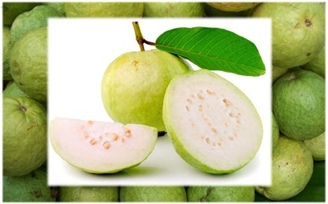 Healthy Cook Springtime Treats With A Tropic Guava Twist